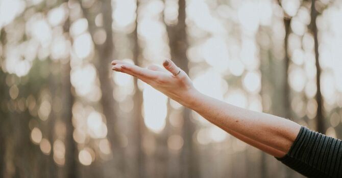 Traditional Chinese Medicine- BE customized herbal prescription