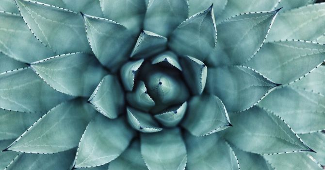 BE Acupuncture + Customized Herbal Prescription